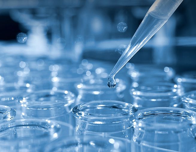 Pipette and petri dish