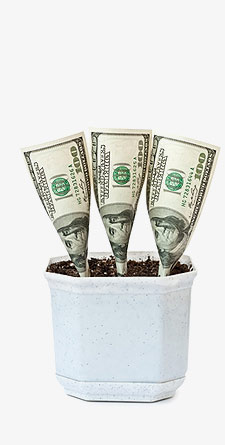 growing savings