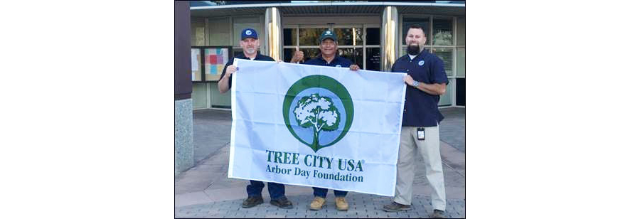 Tree City USA