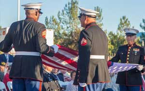 Veterans Day